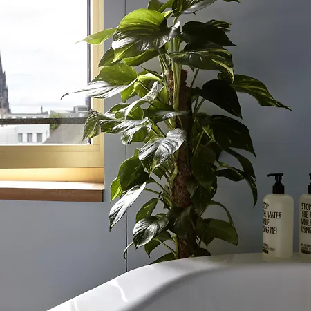 25hours The Circle 4* Keulen